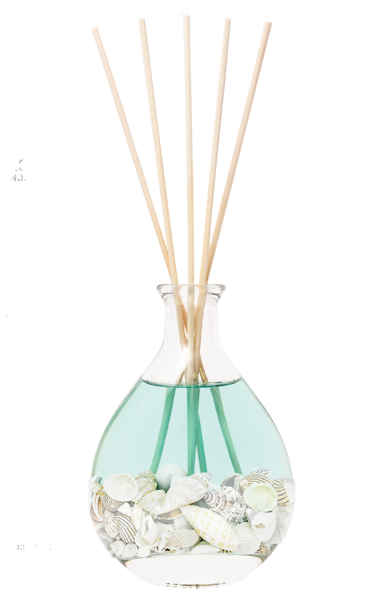 Stoneglow Nature's Gift Ocean Reed Diffuser close-up showing rounded glass vessel filled with seashells and rattan reeds