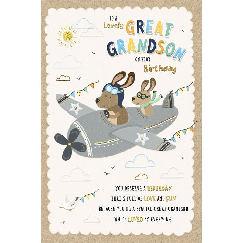 Great Grandson Birthday Aeroplane and Animals
