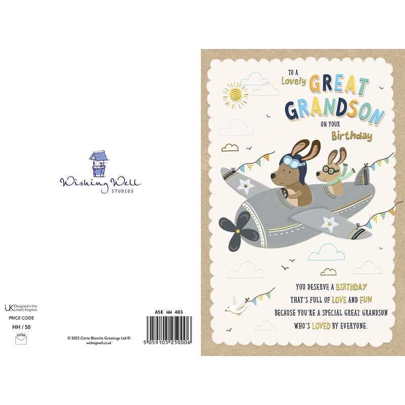 Great Grandson Birthday Aeroplane and Animals