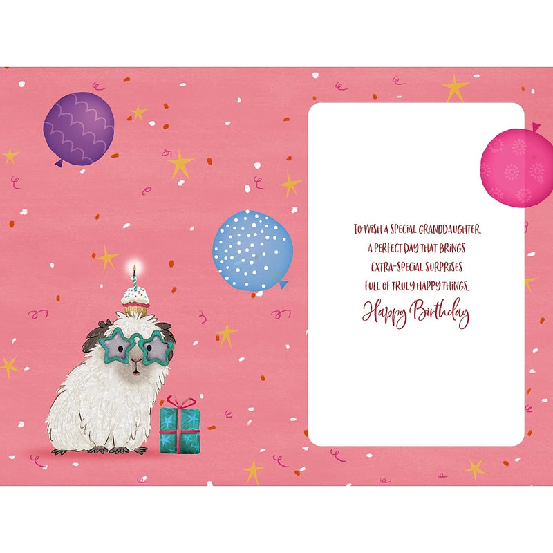 Inside of granddaughter birthday card with partying guinea pigs design – Little Monkey Gifts