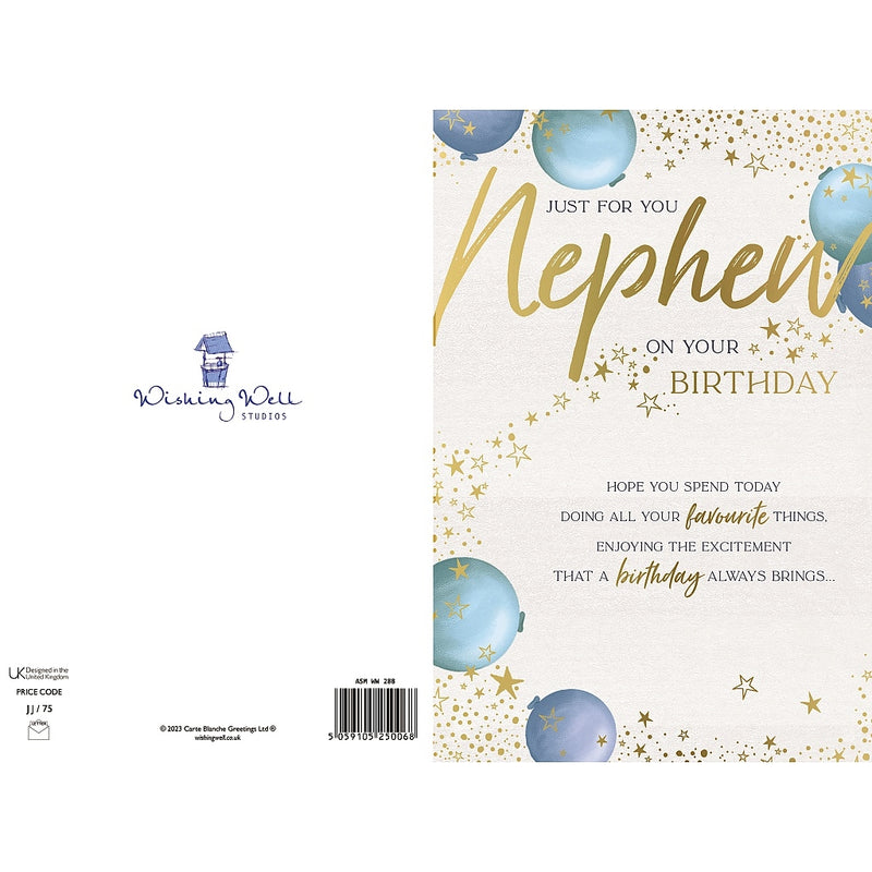 Back of nephew birthday card showing balloons and stars design – Little Monkey Gifts