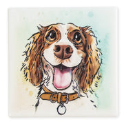 Springer Spaniel Ceramistone coaster with raised tube-lined artwork, designed by a British artist, 10x10cm