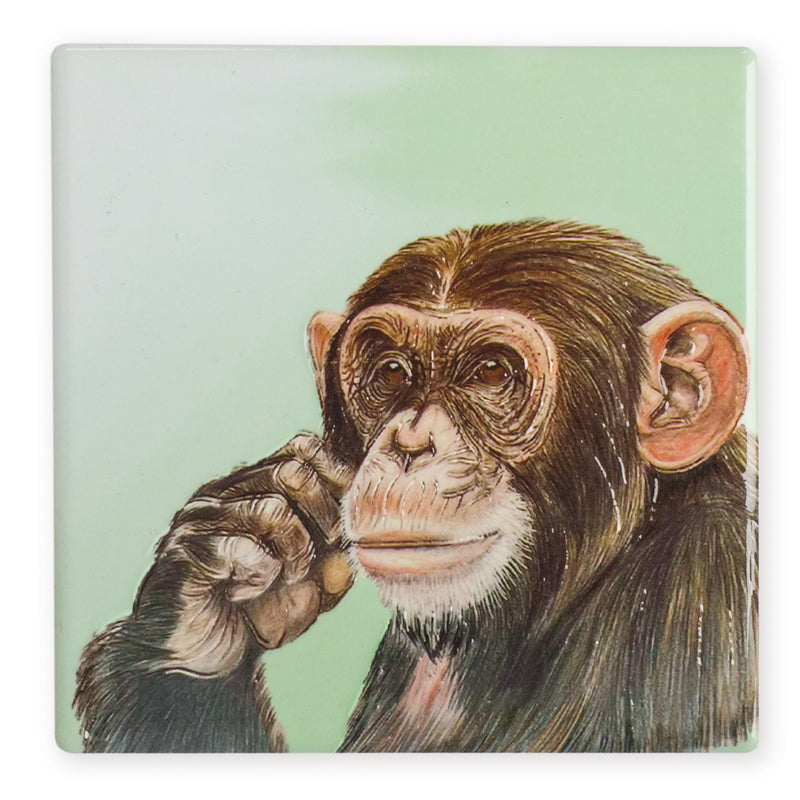 Chimpanzee Ceramistone coaster with raised tube-lined wildlife artwork by Worcestershire artist Keith Thompson, 10x10cm