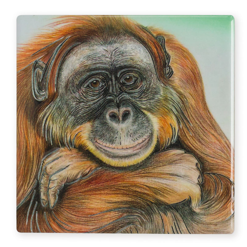 Orangutan Ceramistone coaster with raised tube-lined wildlife artwork by Worcestershire artist Keith Thompson, 10x10cm