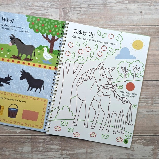 Big Sticker Activity Book  Farm