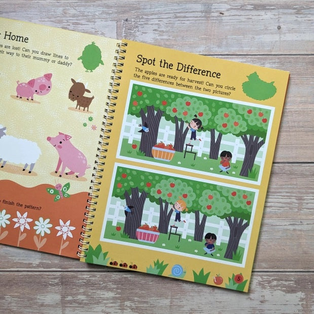 Big Sticker Activity Book  Farm