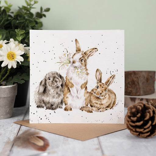 Wrendale Designs All Ears rabbit card displayed upright on a wooden surface alongside white daisies in a pot, a pine cone and a kraft envelope