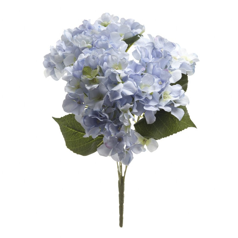 Blue Hydrangea - Bunch