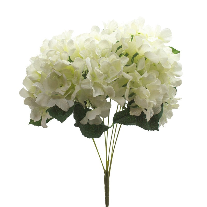 White Hydrangea - Bunch