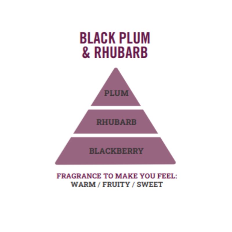 Henry & Co Reed Diffuser - Black Plum Rhubarb
