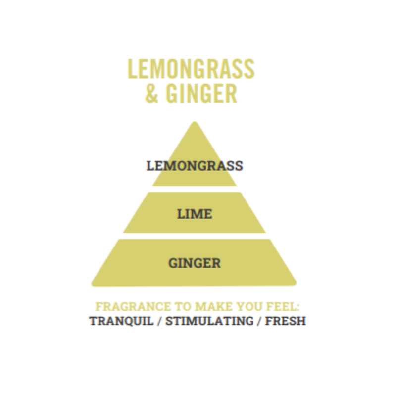 Henry & Co Reed Diffuser - Lemongrass & Ginger