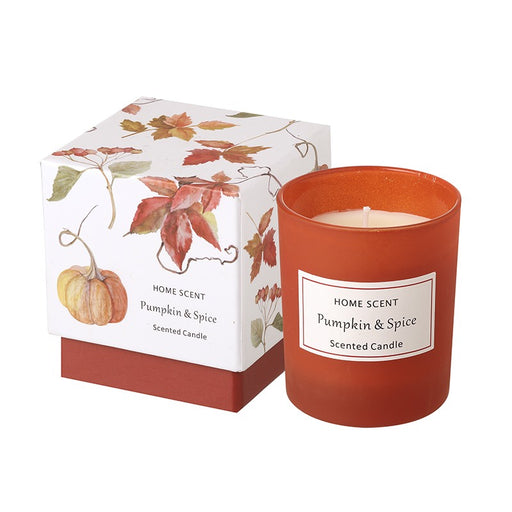 Pumpkin and Spice Scented Candle in a terracotta-red frosted glass jar, shown alongside its autumn botanical gift box decorated with red maple leaves and a pumpkin illustration, on a white background