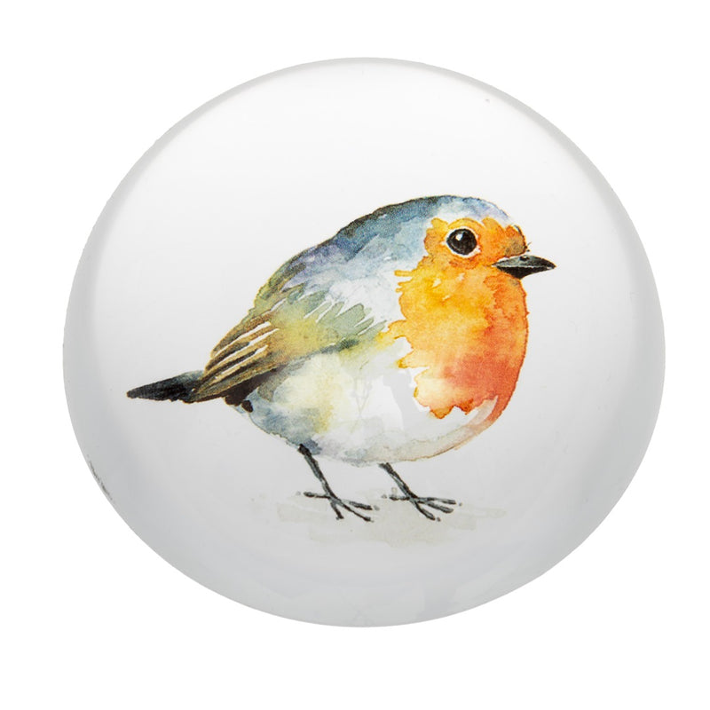 Robin Paperweight top view, circular glass dome paperweight with watercolour robin illustration showing warm orange-red breast and blue-grey wings, on white background