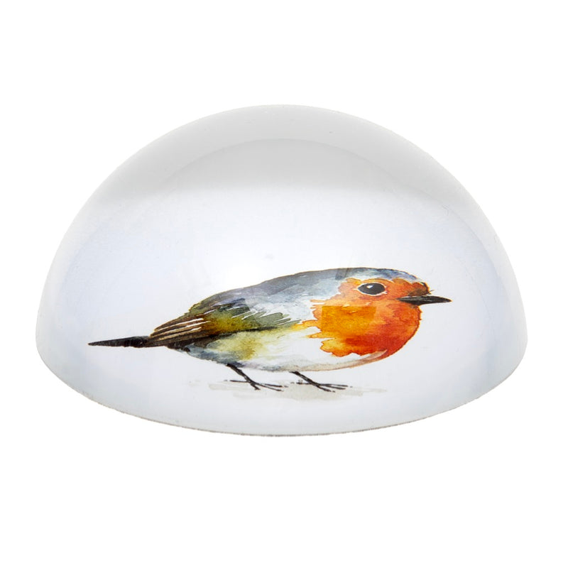 Robin Paperweight side view, smooth glass dome profile with watercolour robin illustration visible beneath, on white background
