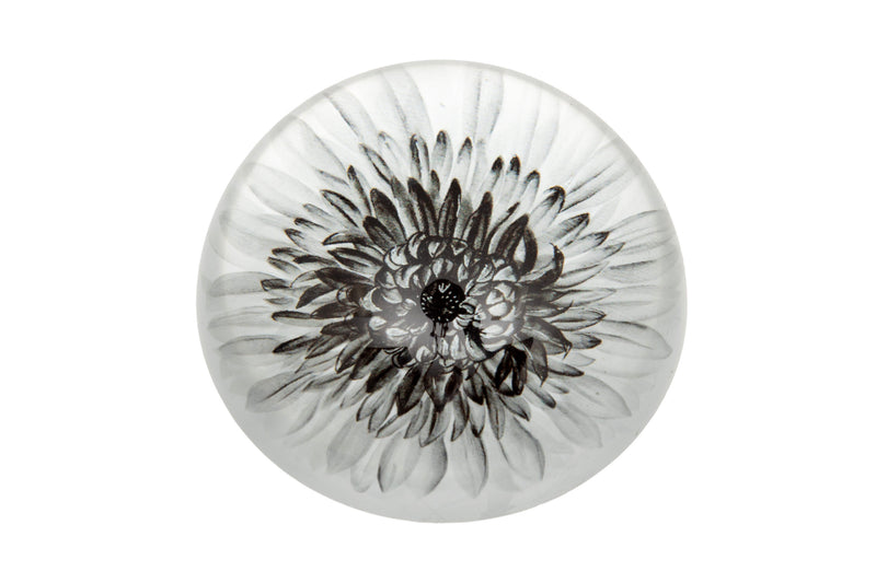 Dahlia glass paperweight viewed from above showing a monochrome botanical dahlia print beneath a clear domed glass surface, white background