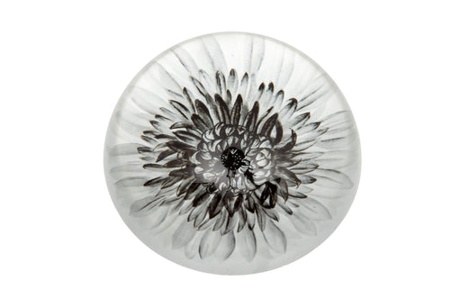 Dahlia glass paperweight viewed from above showing a monochrome botanical dahlia print beneath a clear domed glass surface, white background