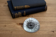 Dahlia glass paperweight styled on a wooden surface alongside a stack of vintage hardback books