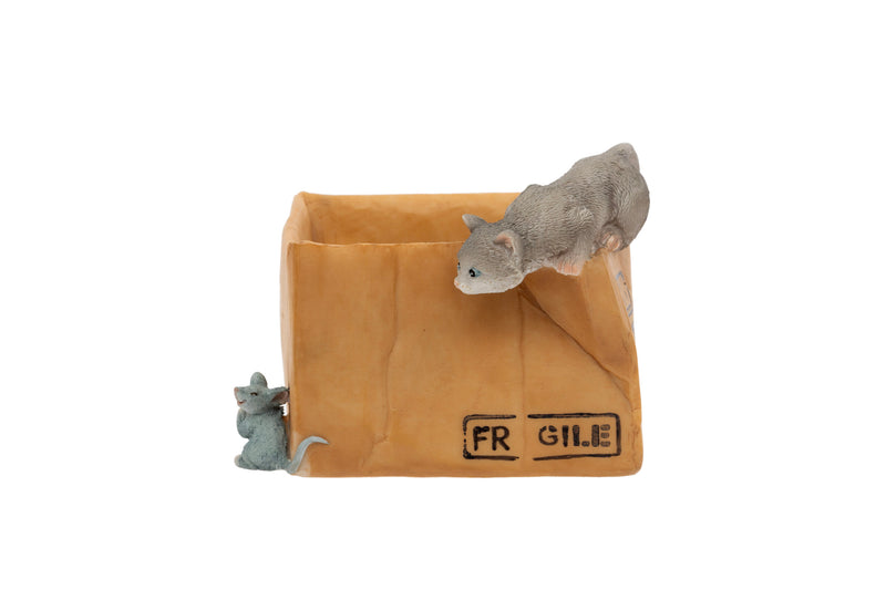 Cat and Mouse Fragile Box Figurine polyresin figurine of a cat peering into a cardboard Fragile box with a smiling mouse hiding at the corner on white background