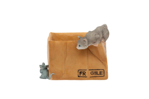Cat and Mouse Fragile Box Figurine polyresin figurine of a cat peering into a cardboard Fragile box with a smiling mouse hiding at the corner on white background