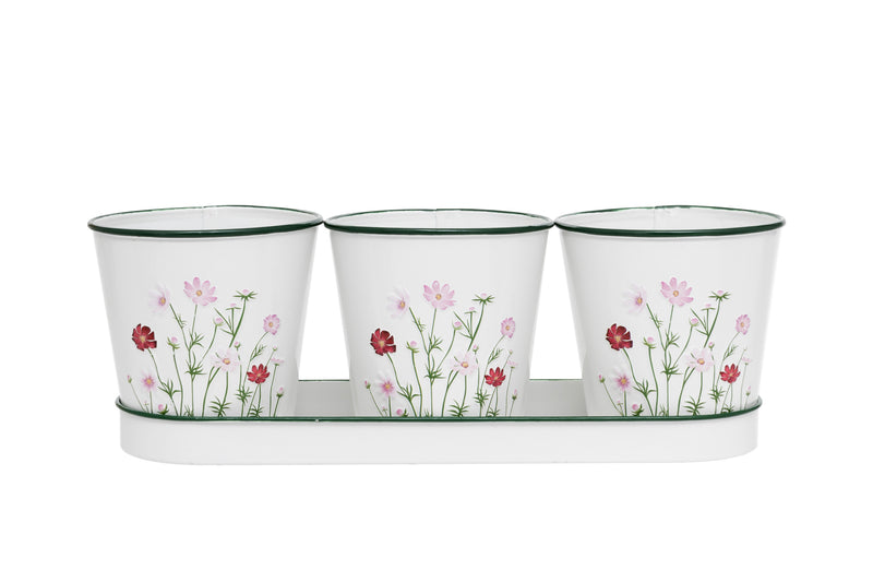 Petals Set of 3 Herb Pots with Tray