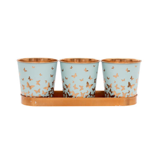 Bronze Butterfly Set of 3 Herb Pots with Tray three duck-egg blue metal pots with bronze-tone butterfly silhouettes rising from the base and bronze-tone rims sitting on a matching bronze-tone oval tray on white background