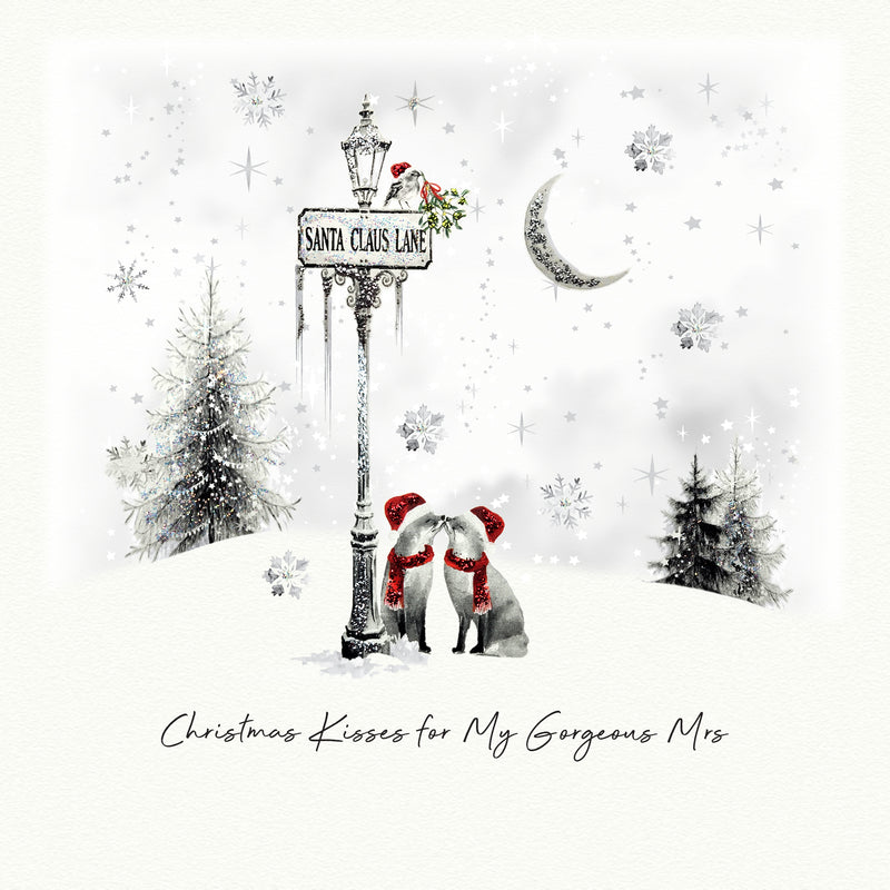 An illustrated Christmas card showing two festive characters in Santa hats and red scarves touching noses beneath a Santa Claus Lane street lamp, with a robin and mistletoe at the top, snow-dusted trees, a crescent moon and scattered snowflakes, with the sentiment "Christmas Kisses for My Gorgeous Mrs"