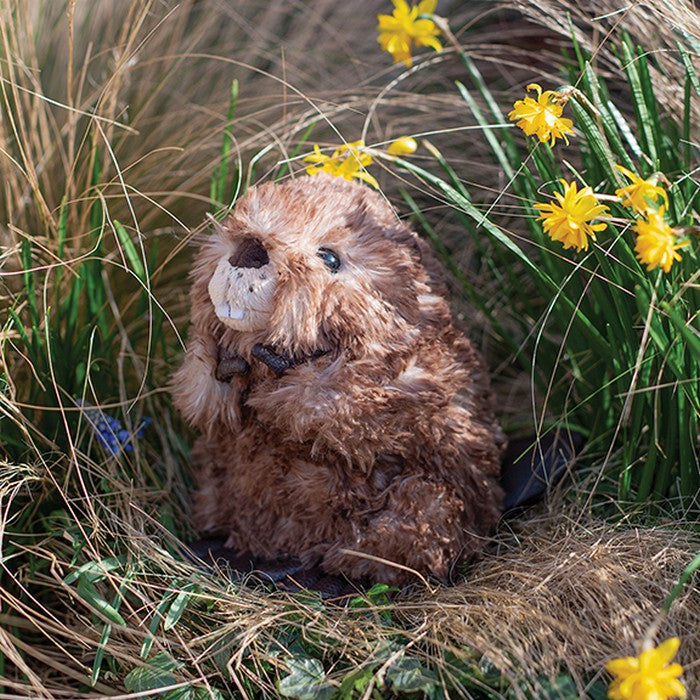 Beaver Medium Plush Chester