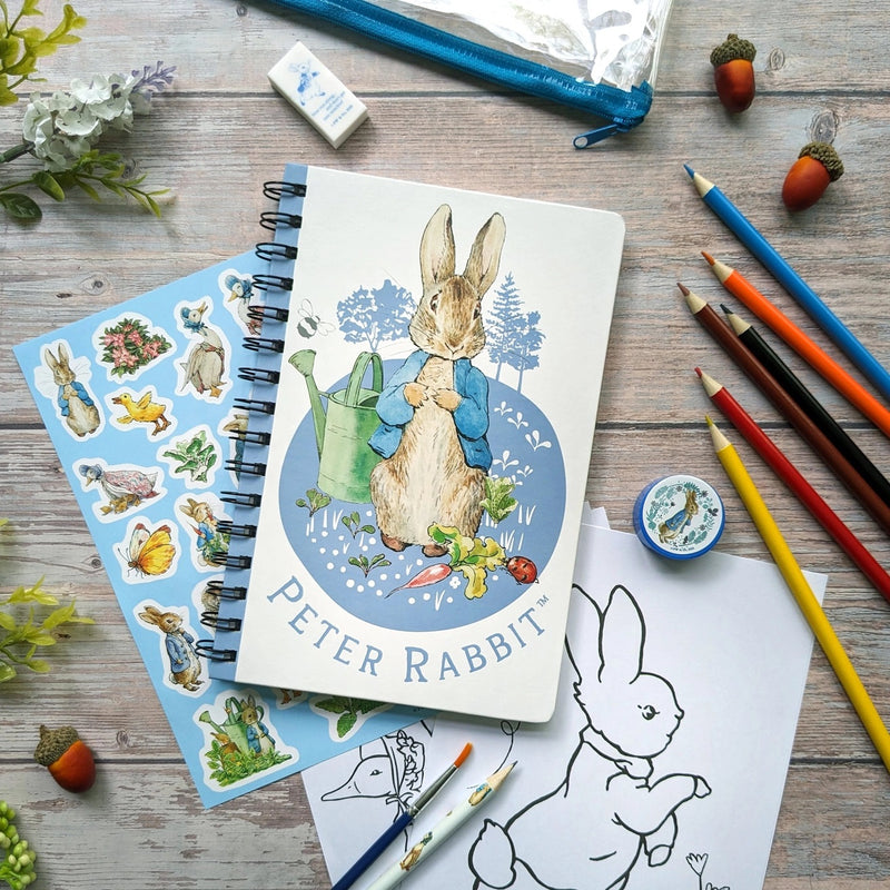 Peter Rabbit Childrens Art Activity Wallet