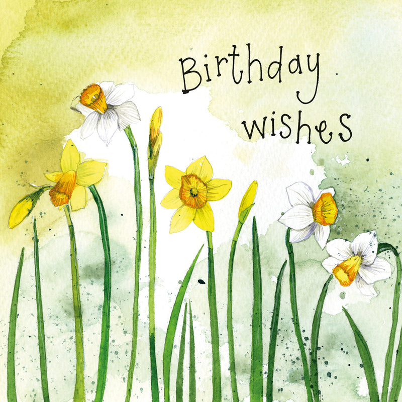 Narcissi Birthday Card
