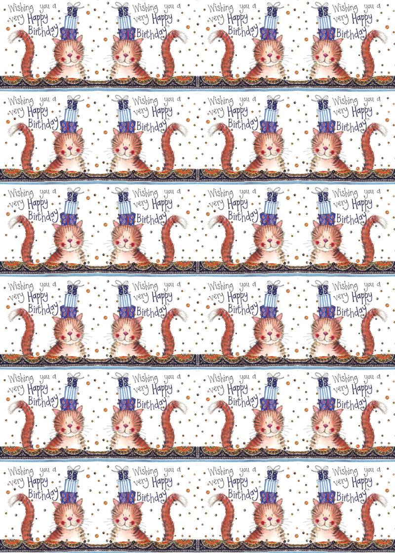 Birthday Cat Bagged Gift Wrap