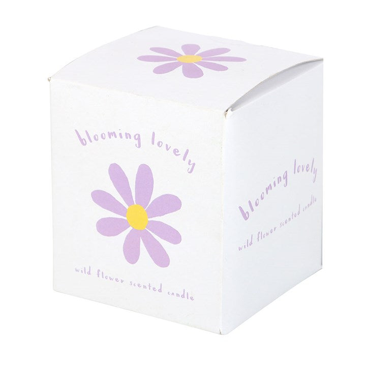 Bloomin Lovely daisy wildflower candle – boxed view