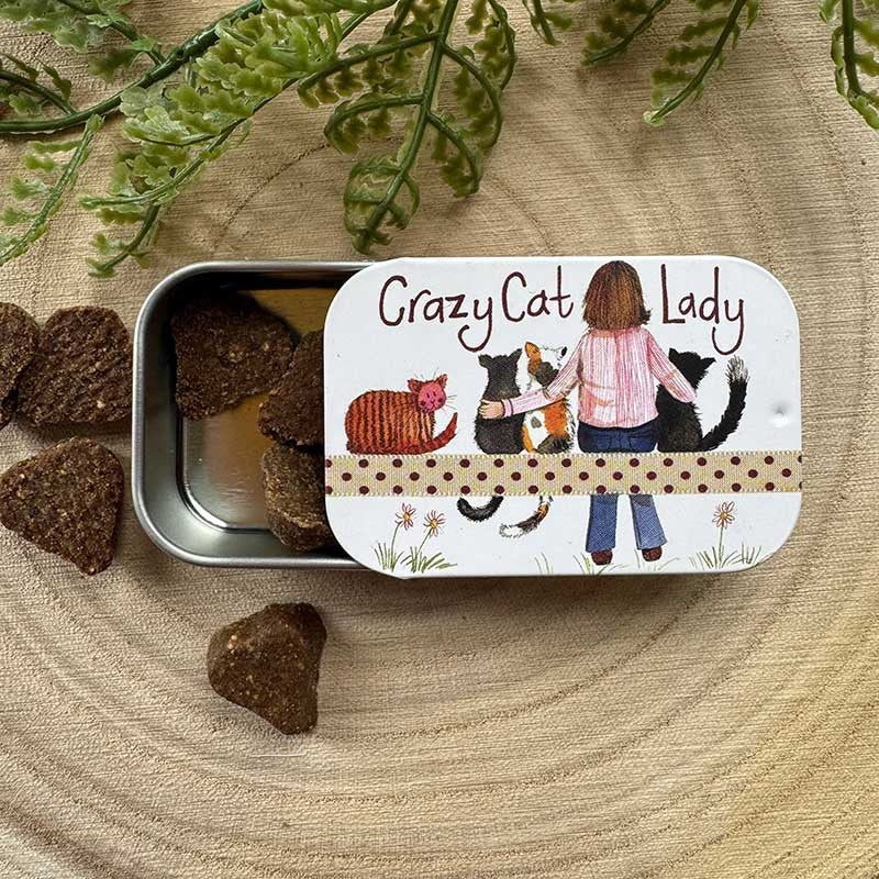 Crazy Cat Lady Sliding Little Tin