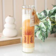 Leopard Palm Sandalwood & Oud tube candle in glass jar with gold tassel and gift tag, styled on a white surface with a plant and vase in the background