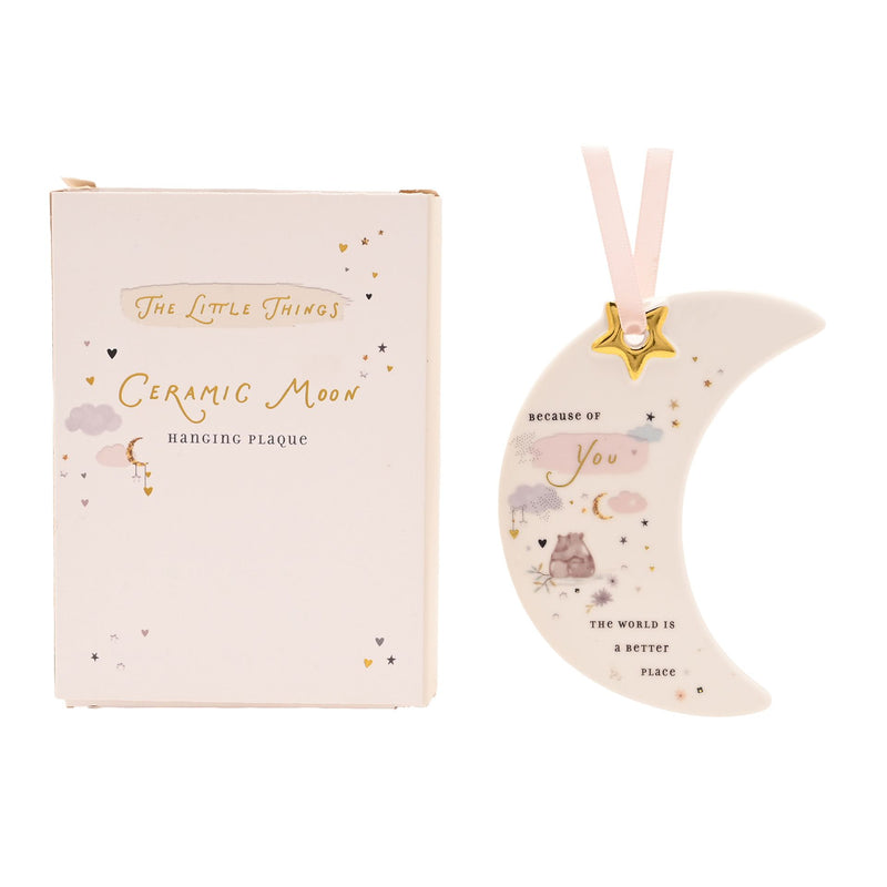 The Little Things Hanging Plaque - Because of You
