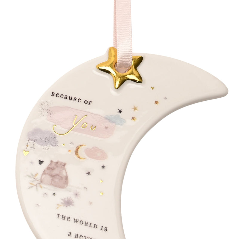 The Little Things Hanging Plaque - Because of You