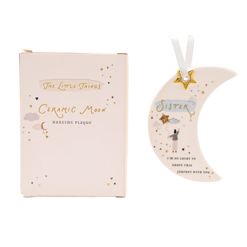 The Little Things Hanging Plaque - Sister