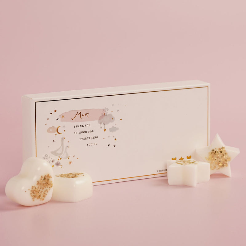 The Little Things Wax Melts Mum gift box with illustrated ducks scene, gold border and sentiment Mum Thank You So Much For Everything You Do, star and heart wax melts displayed on pink background