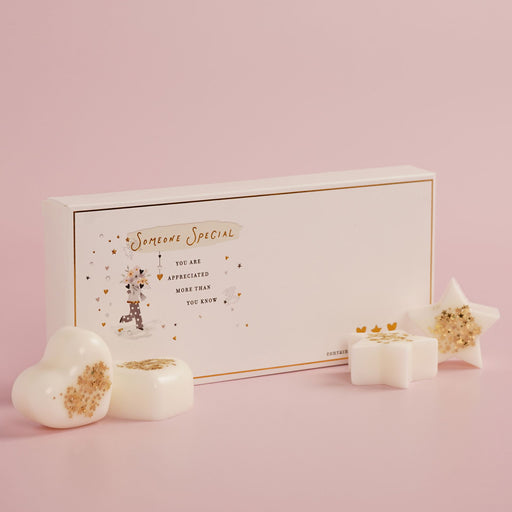 The Little Things Wax Melts Someone Special gift box with gold border and illustrated figure, star and heart wax melts with gold confetti displayed on pink background