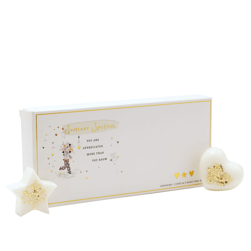 The Little Things Someone Special wax melt gift box front view on white background showing sentiment you are appreciated more than you know
