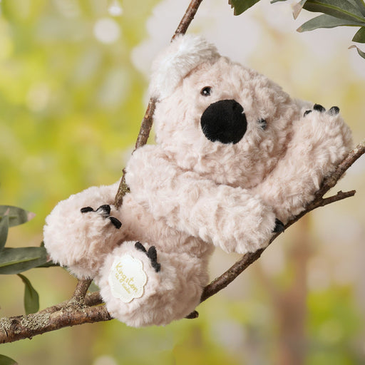 Kingston the Koala plush soft toy clinging to a branch in a leafy outdoor setting