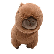 Carrie the Capybara plush soft toy 24cm, front view showing broad muzzle and dark shiny eyes, warm brown fur, white background